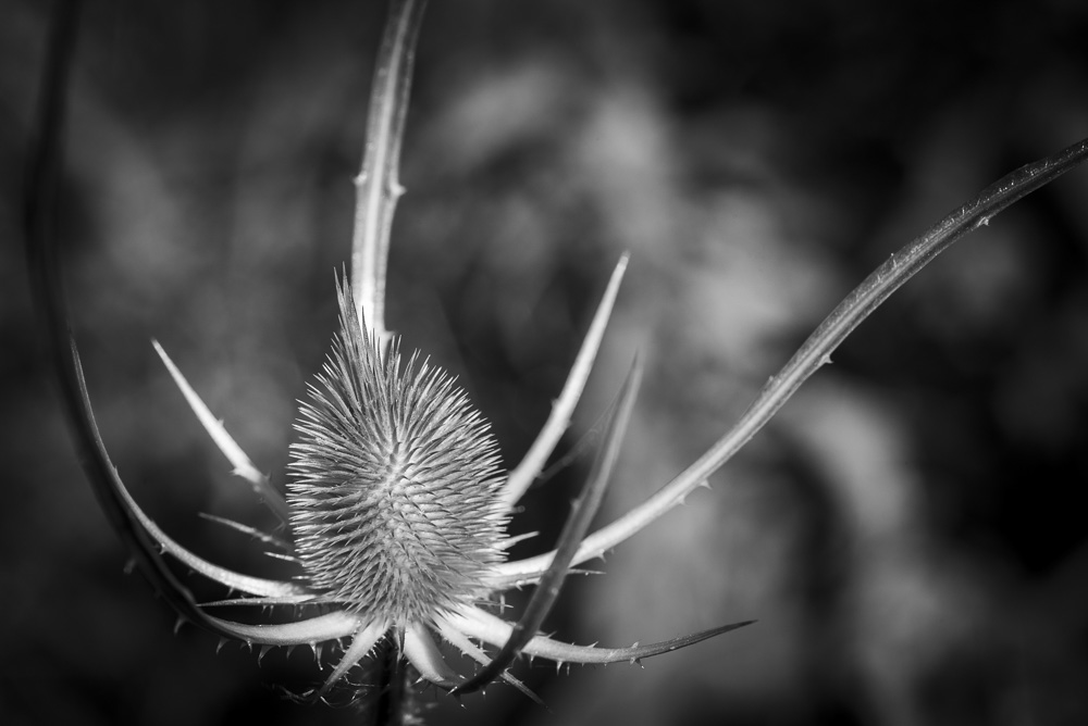 Platz 12 Michael Mayer